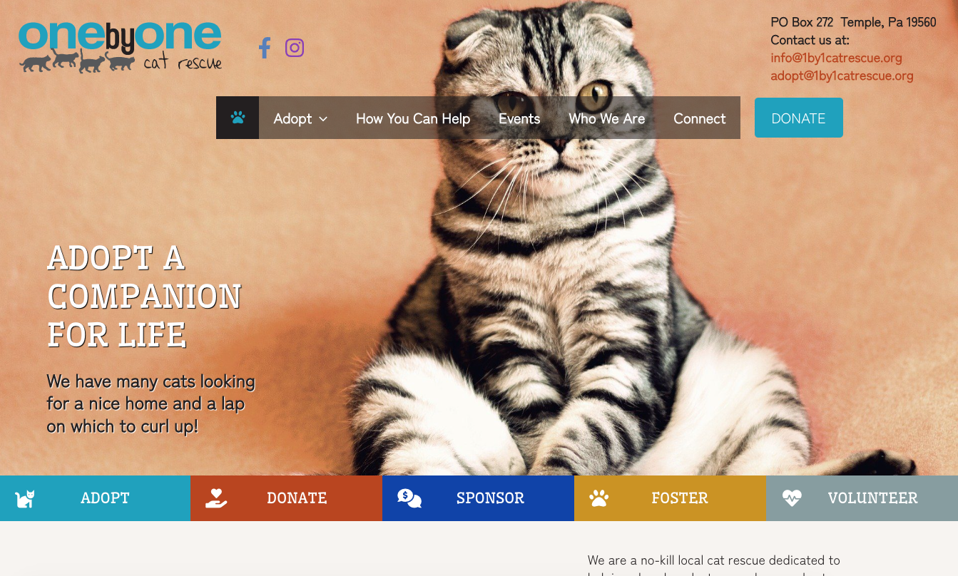 One by One Cat Rescue